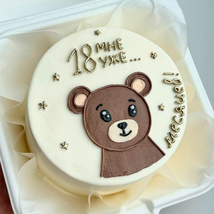 Бенто-торт 18 мне уже…месяцев №4052