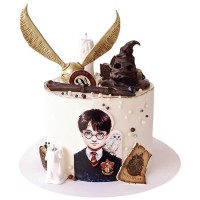 Торт с Гарри Поттером без мастики №2979
