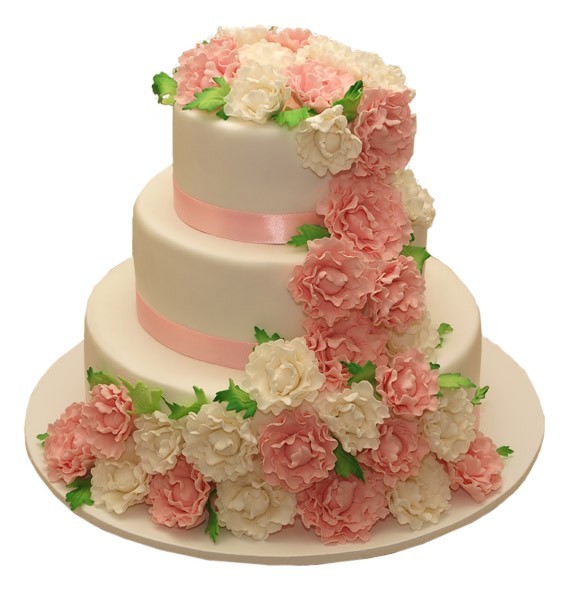 Бело-розовый свадебный торт №838