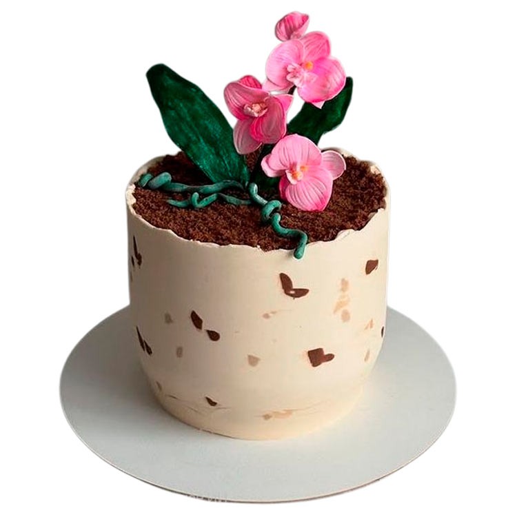 Торт в виде горшка с цветами №4083