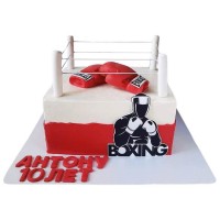 Торт с боксерскими перчатками Everlast на ринге №2785