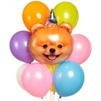 Воздушный шарик Шпиц №1133