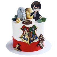 Торт с мультяшным Гарри Поттером и совой №3560
