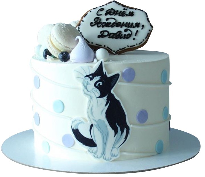Торт с котом на день рождения №1939