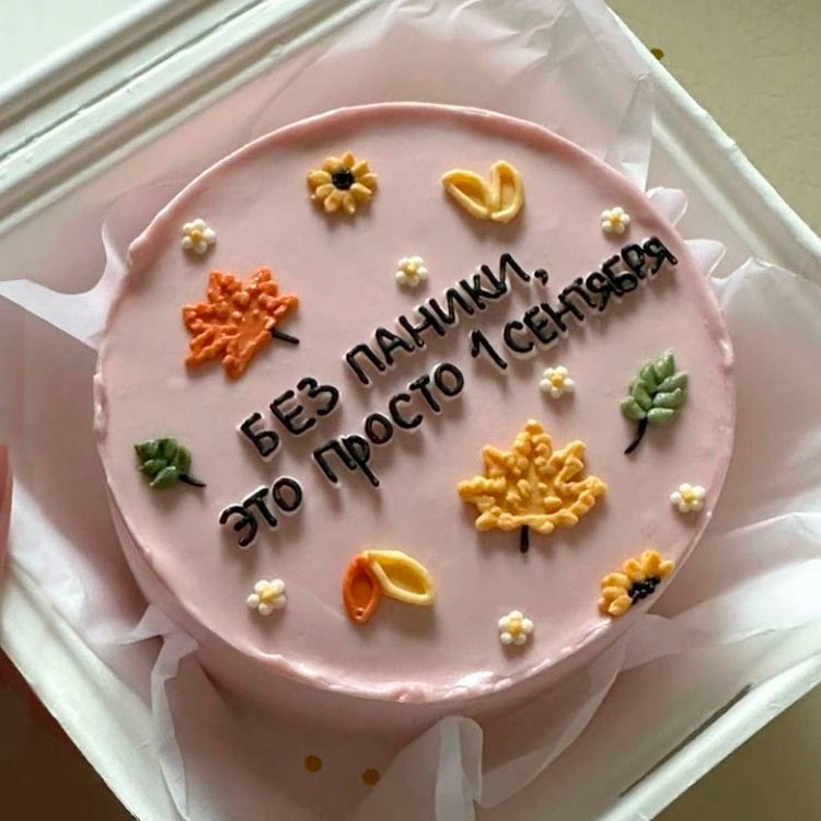 Бенто-торт Без паники, это просто 1 сентября №4001