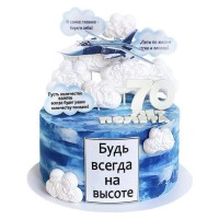 Торт Пилоту на юбилей №3400