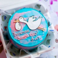 Бенто-торт «Вылетаю… Зимой буду!» №3864